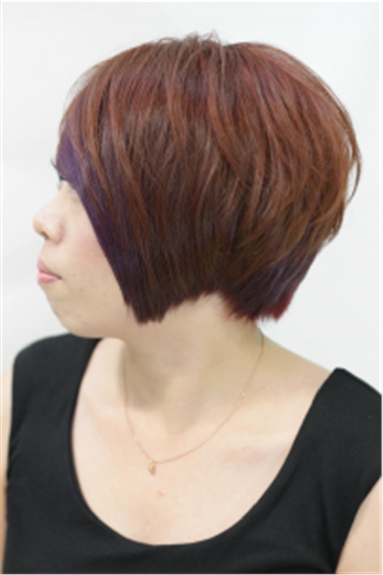 韓系流行染髮(紅銅搭紫)